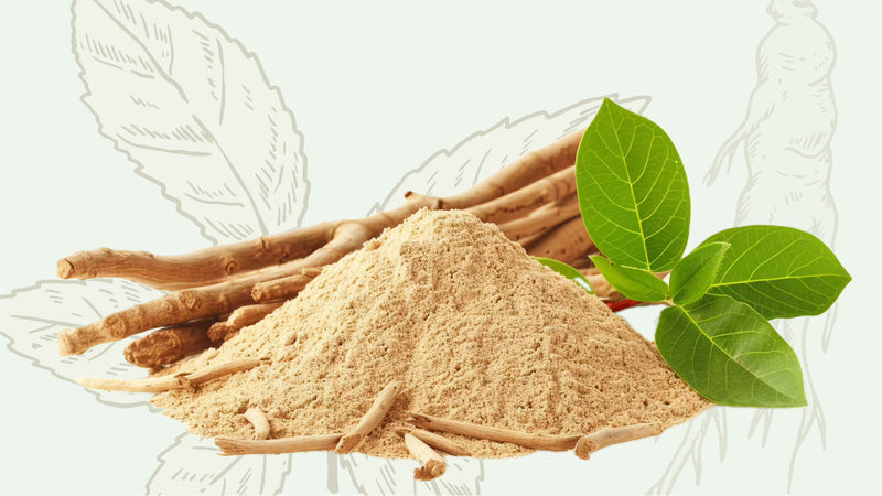 Best Ayurvedic Herbs for Stress: How Ashwagandha Restores Balance
