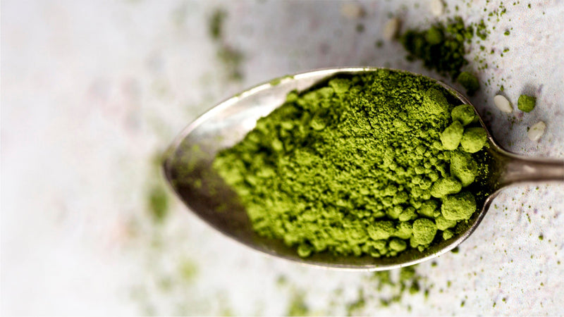 What is Wheatgrass Detox and Why Your Body Needs It