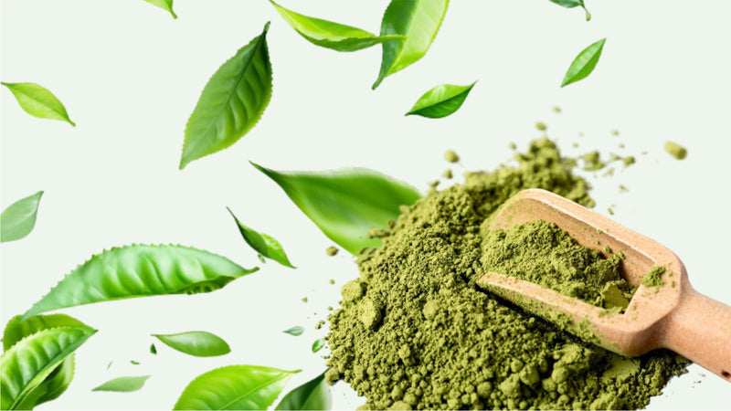 Benefits of Moringa for Immunity: Nature's Multivitamin Explained